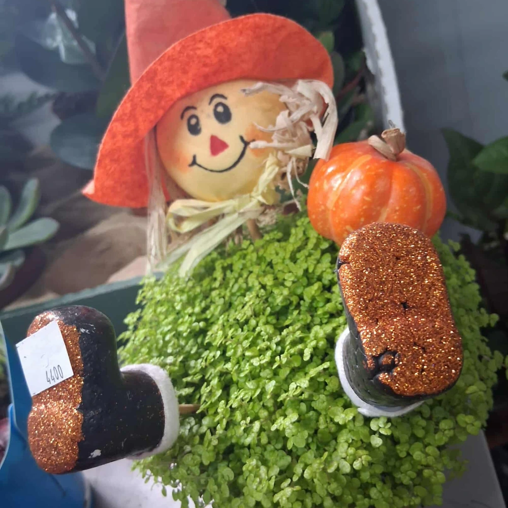 Édenkert Virágműhely kreatív csokrok és dekorációk