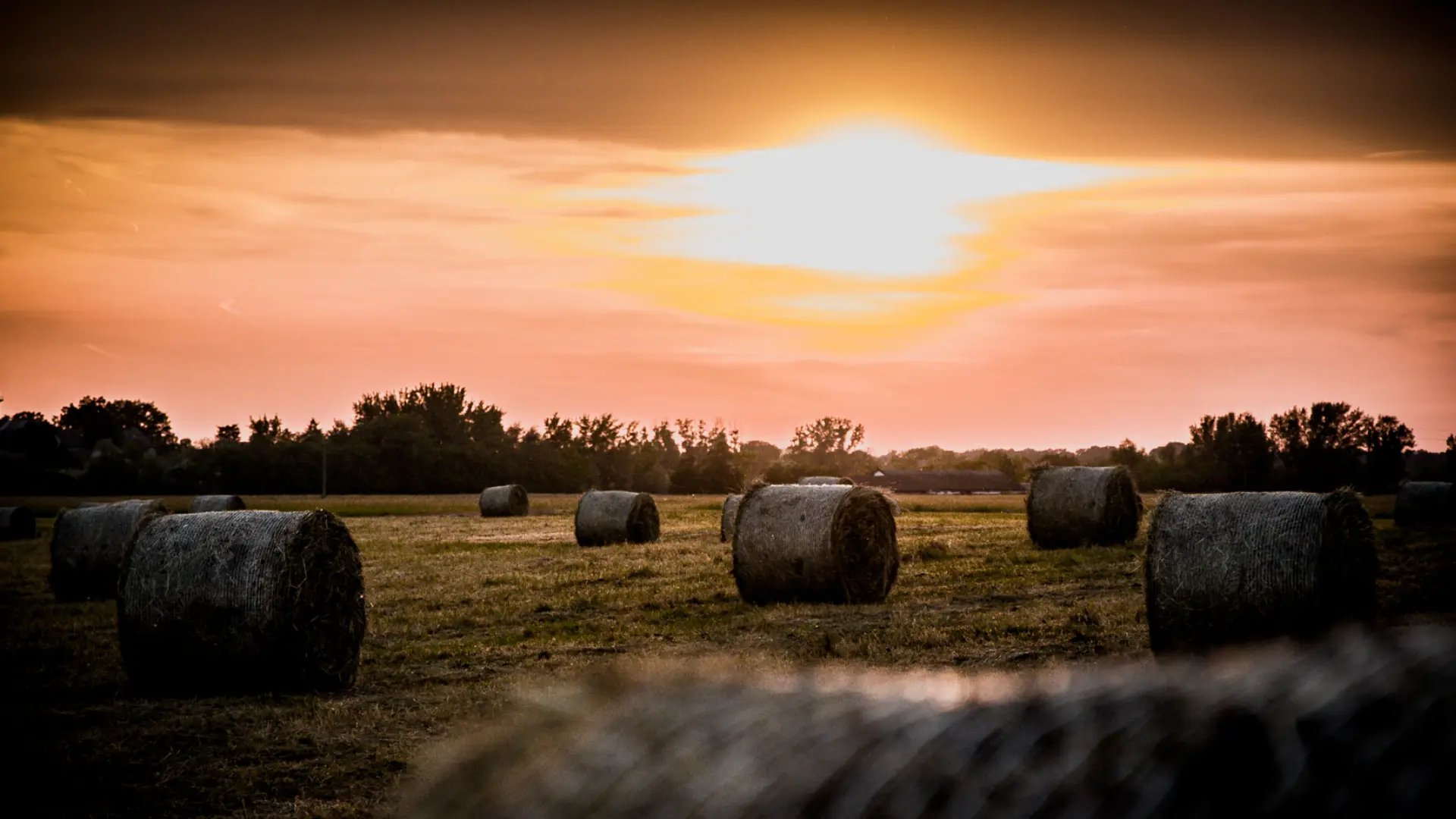 Tiszaföldvár gazdasági közösség