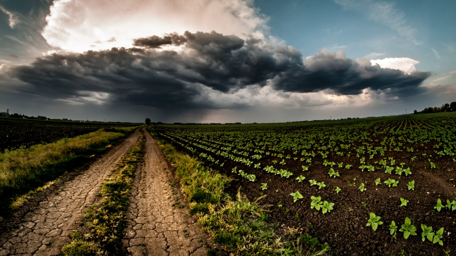 Tiszaföldvár időjárás