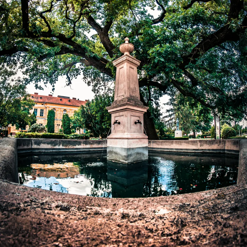 Tiszaföldvár városi információk