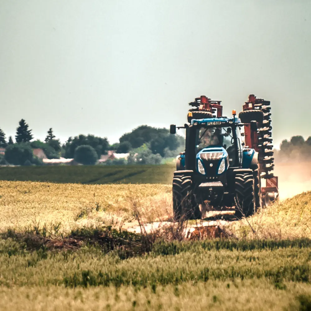 Tiszaföldvár városi információk